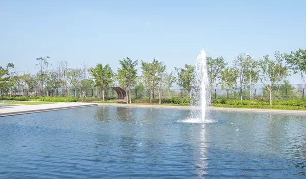 T Garden